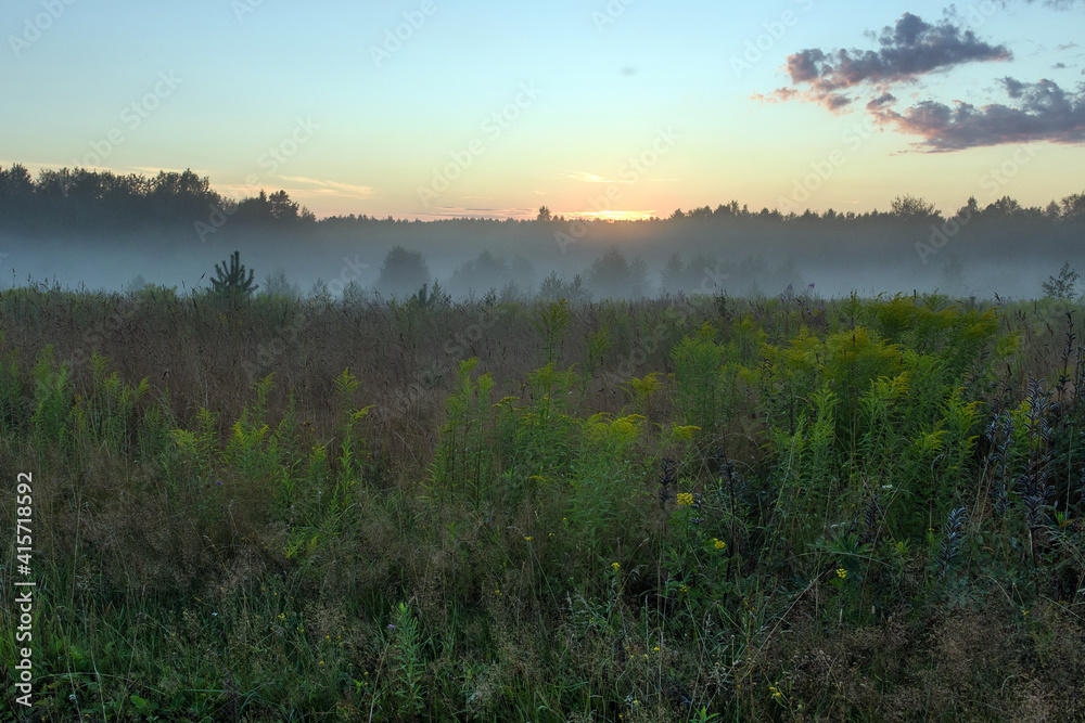 Fototapeta premium morning fog in the field