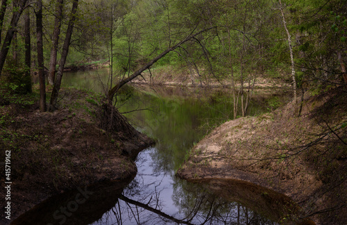 river in the woods