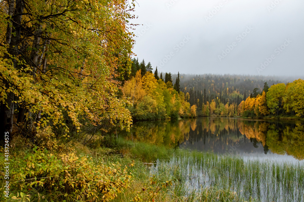 Beautiful reflection of autumn colors on river surface during autumn foliage at Finnish Lapland near Kuusamo
