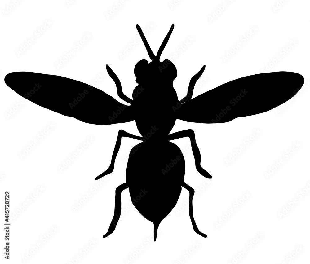 危険な蜂のシルエット Stock イラスト Adobe Stock