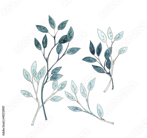 Watercolor twigs. Leaves sketch set