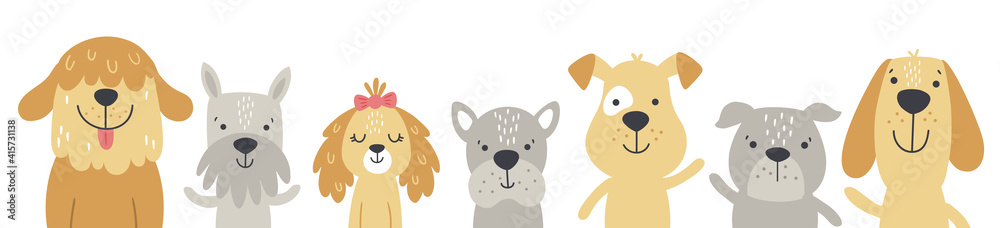 puppy heads in a row, white background puppy heads in a row, white background