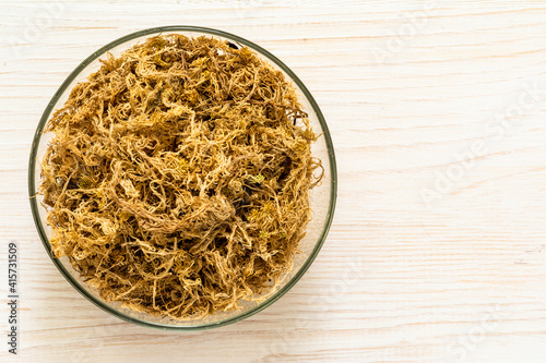 Pile of dry sphagnum moss in bowl on white wood background