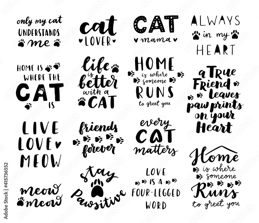 Cat phrase black and white poster. Inspirational quotes about cat, and domestical pets. Hand written phrases for poster, cat adoption lettering. Adopt a cat.