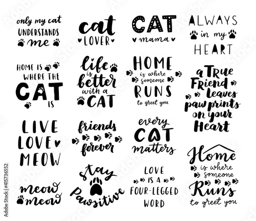 Cat phrase black and white poster. Inspirational quotes about cat, and domestical pets. Hand written phrases for poster, cat adoption lettering. Adopt a cat.