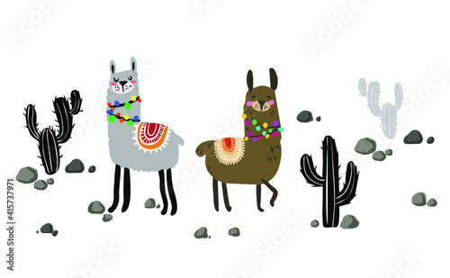 Happy alpaca at the desert