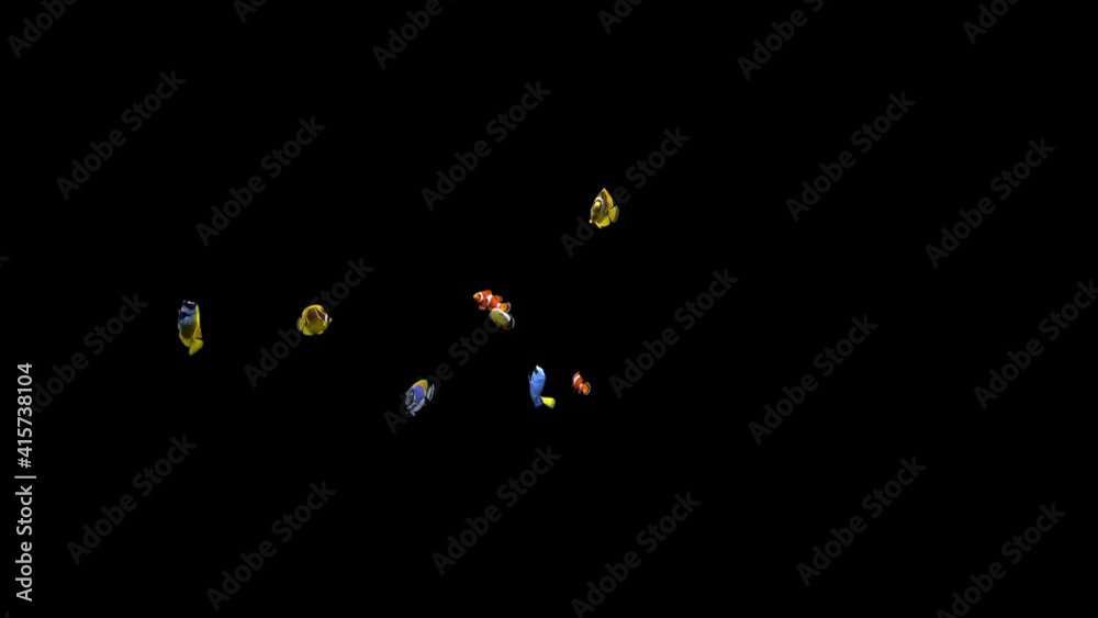 Colorful ornamental marine fish swimming vigorously, with Alpha, used in the fish tank composition