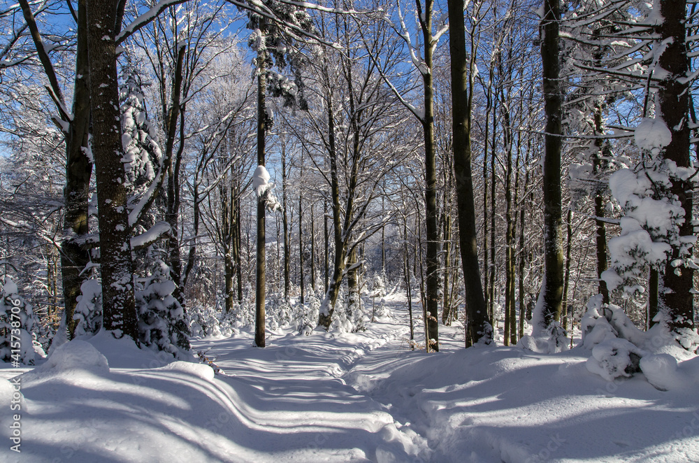 Fototapeta premium Zima w Bieszczadach 