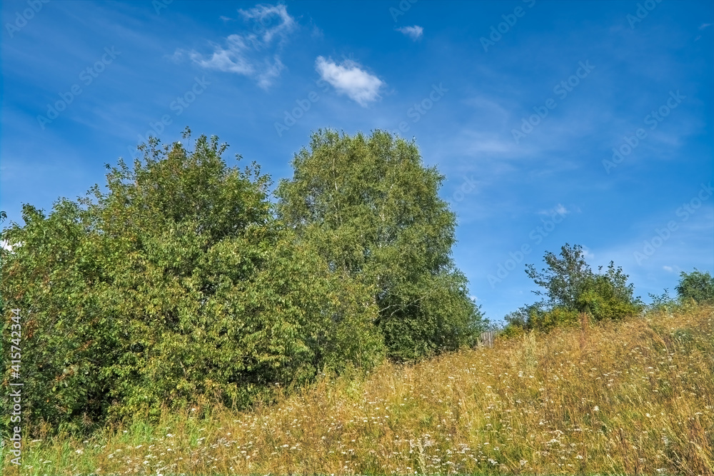Summer landscape green meadow on a background of forest and cloudy sky. Summer landscape green meadow on a background of forest and cloudy sky.