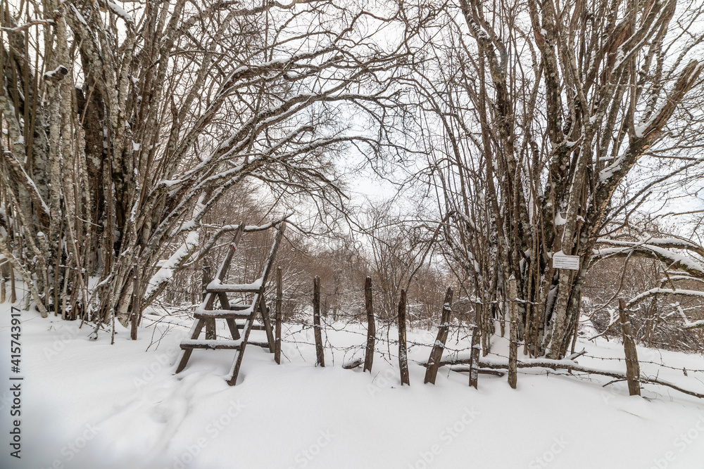 Fototapeta premium Monte Fumaiolo with fresh snow, Italy