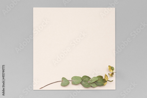 Square invitation card mockup with a gold eucalyptus branch. Top view of a white card mockup with branch of eucalyptus