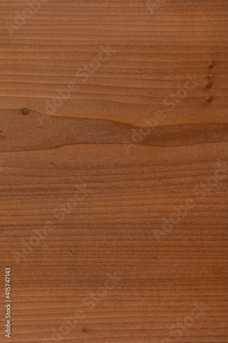 Tulipie Tinto Marrone veneer background, texture in stylish brown color.