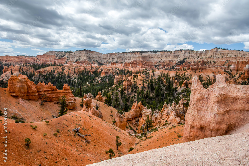 Fototapeta premium Red Rocks Hoodoos in Bryce Point at Bryce Canyon National Park, Utah