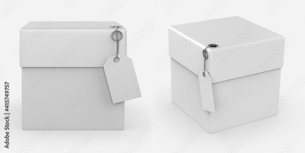 packaging box with Label Mockup isolated white background. 3d illustration