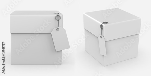 packaging box with Label Mockup isolated white background. 3d illustration