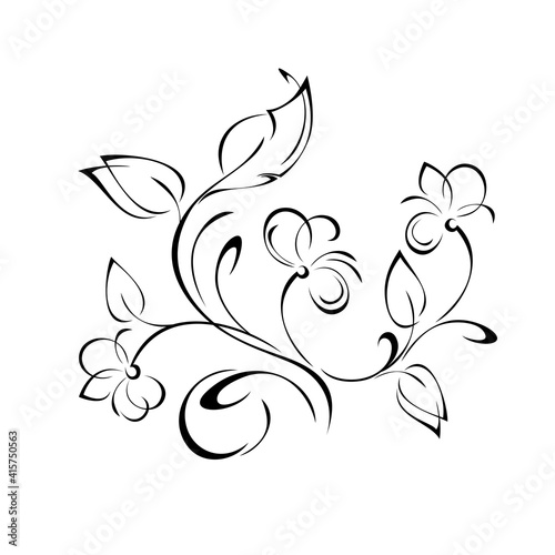 floral design with blooming flowers on stems with leaves and curls in black lines on a white background