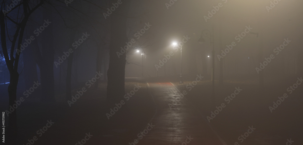 lantern lights on the road in the forest in the fog lantern lights on the road in the forest in the fog