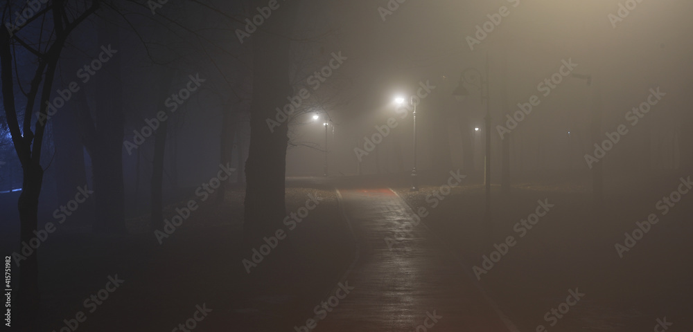 lantern lights on the road in the forest in the fog