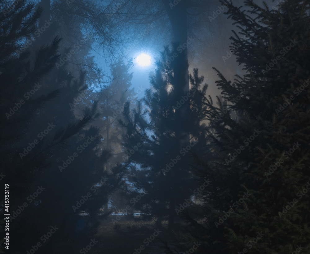 blue moon in the forest at night in the fog