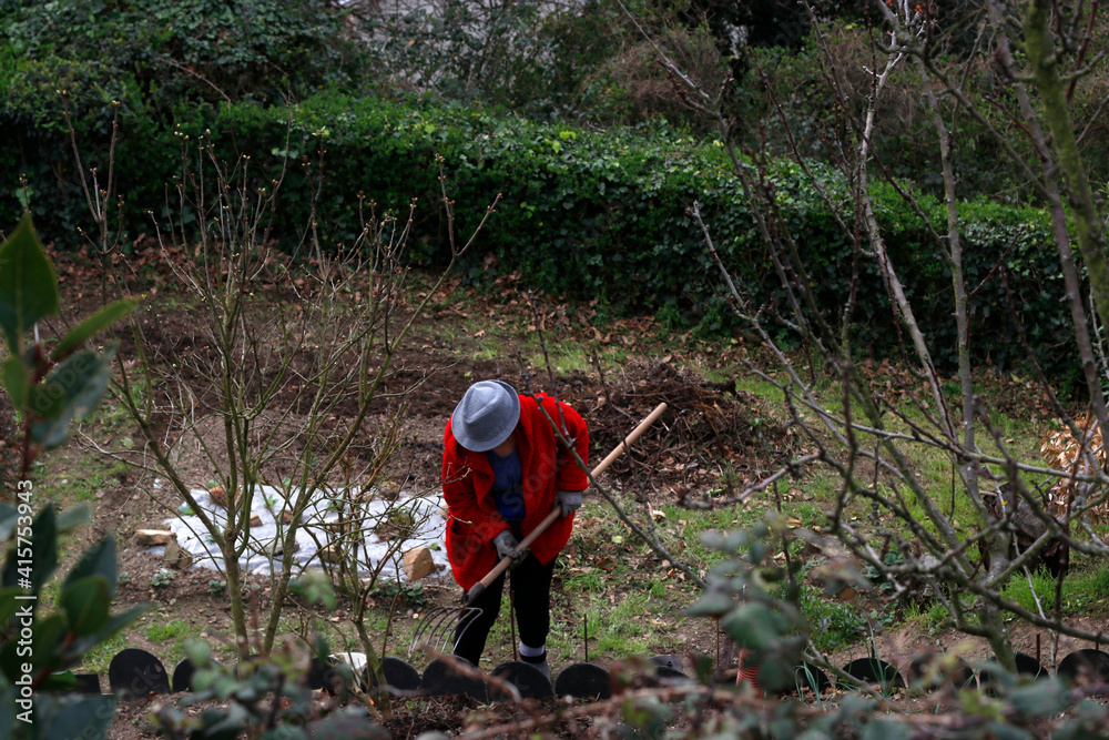 Woman working at her orchard Woman working at her orchard