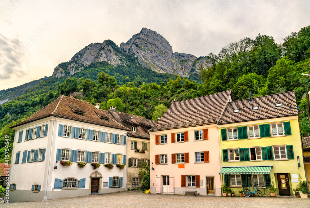 Skyline of Sargans, a town in the canton of St. Gallen in Switzerland