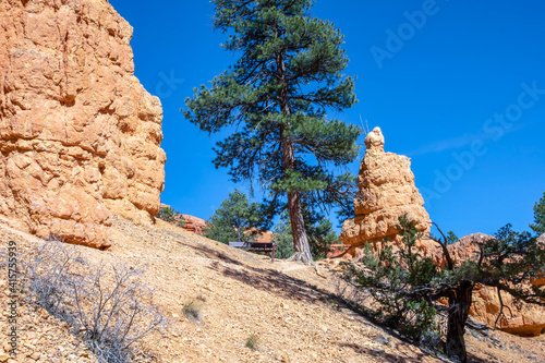 An overlooking view of nature in Dixie National Forest, Utah