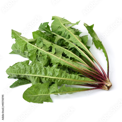 Dandelion, Dandelion Green, Leaf Vegetable on white background photo