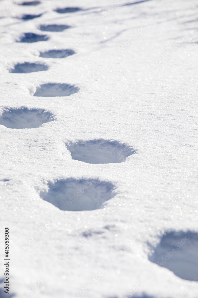footprints in snow drifts covered with ice against the sun, vertical texture footprints in snow drifts covered with ice against the sun, vertical texture