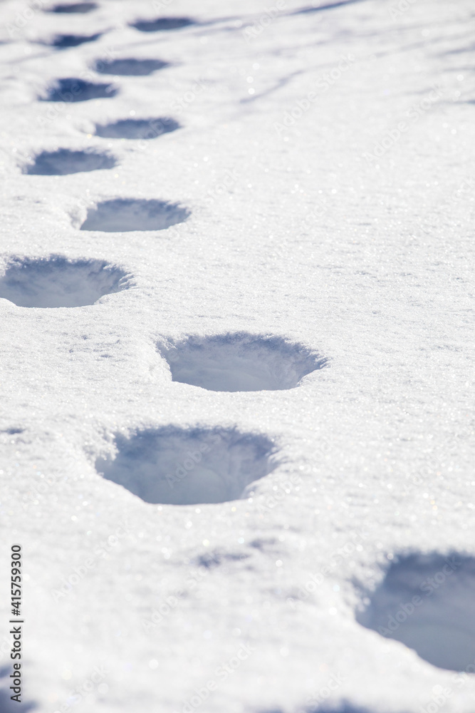 footprints in snow drifts covered with ice against the sun, vertical texture