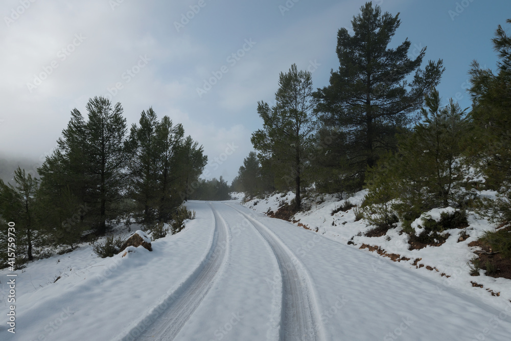 Camino de nieve