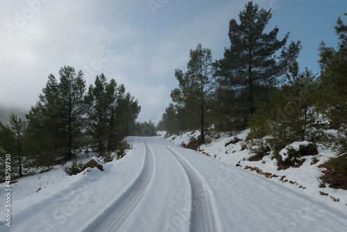 Camino de nieve © Pedro
