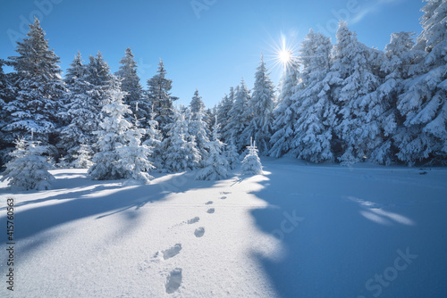 Fußstapfen im Schnee