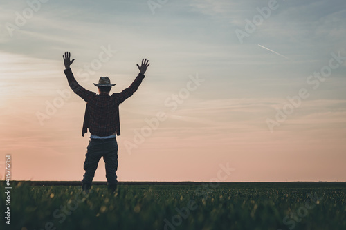 Satisfied farmer in wheatgrass field with hands raised