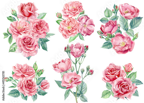 Set of beautiful flowers. Rose floral elements on a white background, watercolor painting