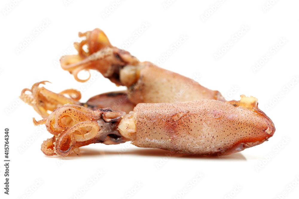 dry squids on white background 
