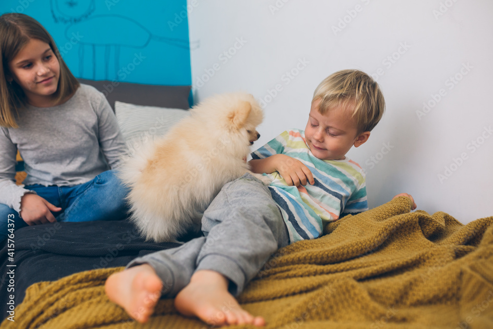 kids playing with their puppy at home kids playing with their puppy at home