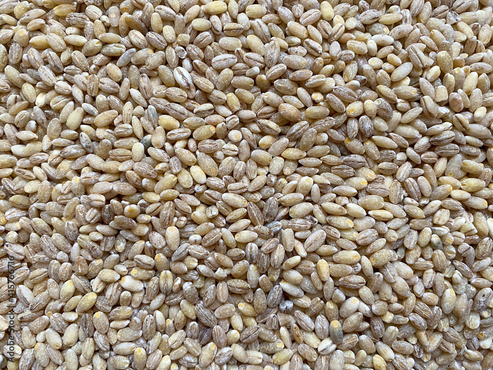 Background of dry pearl barley close-up. The texture of the barley porridge Background of dry pearl barley close-up. The texture of the barley porridge