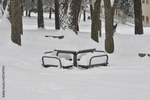 Landscape of snowy trees during winter