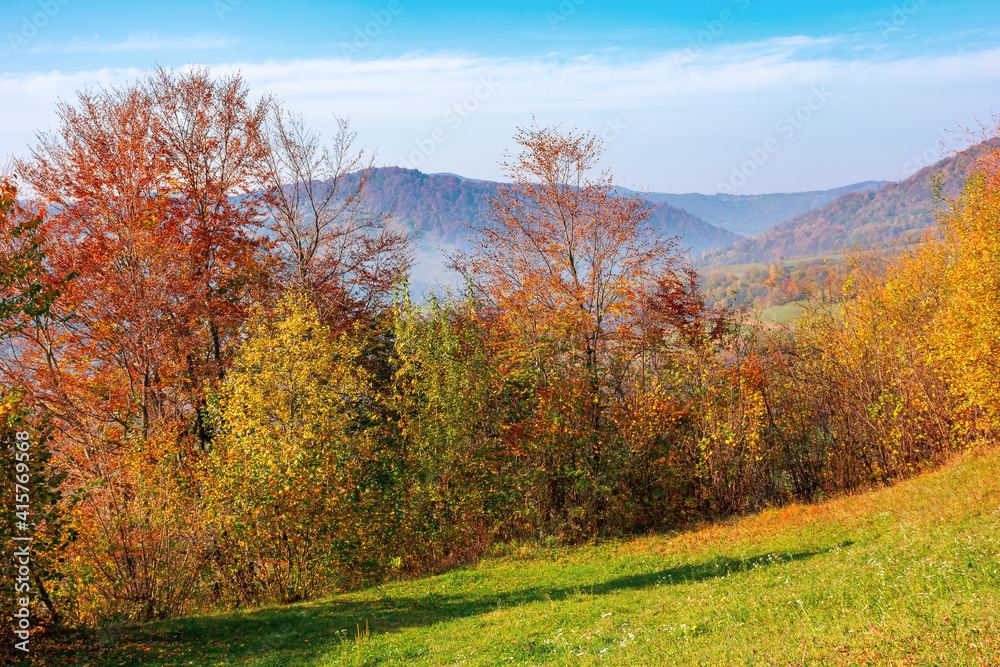 mountainous rural landscape in autumn. trees the edge of a hill in colorful foliage. sunny day with bright blue sky mountainous rural landscape in autumn. trees the edge of a hill in colorful foliage. sunny day with bright blue sky