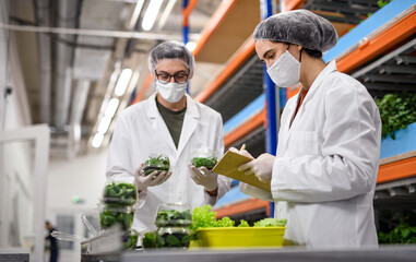 Workers with face mask on aquaponic farm, sustainable business and coronavirus.