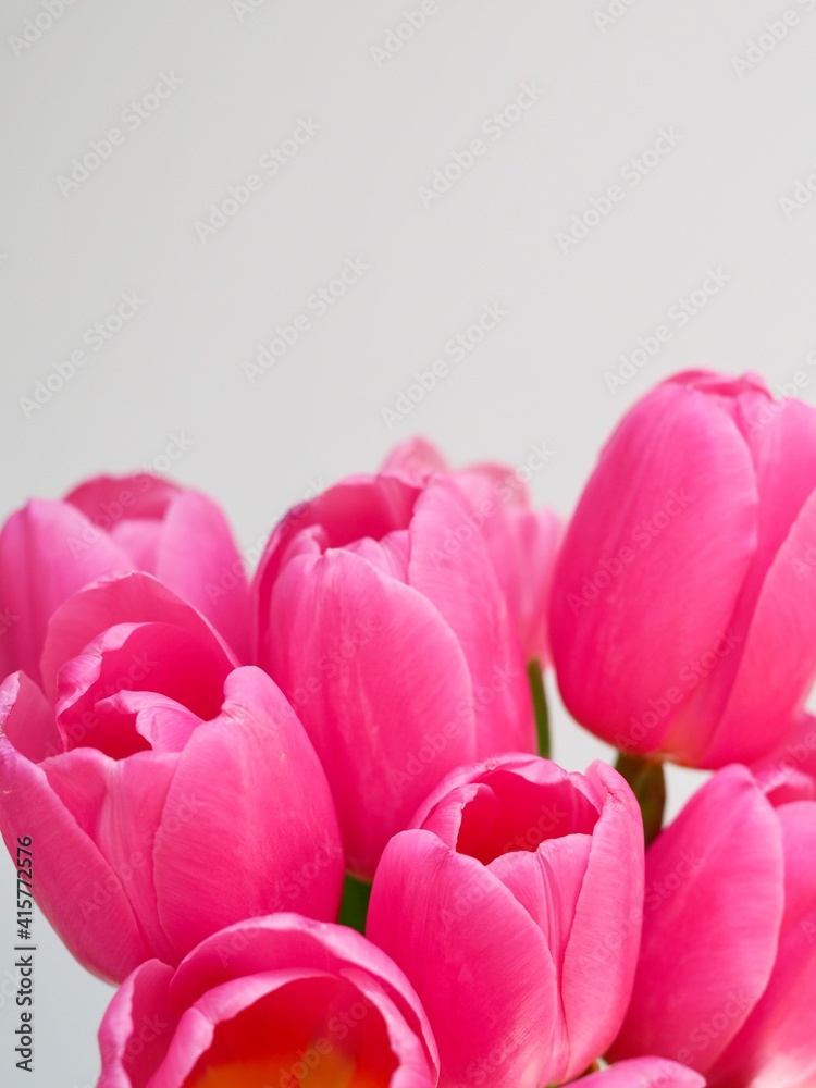 Obraz premium Bouquet of tulips wrapped in craft paper on pink background with space for text. Greeting card. Concept woman's or mother's day. Spring flowers background. Close-up