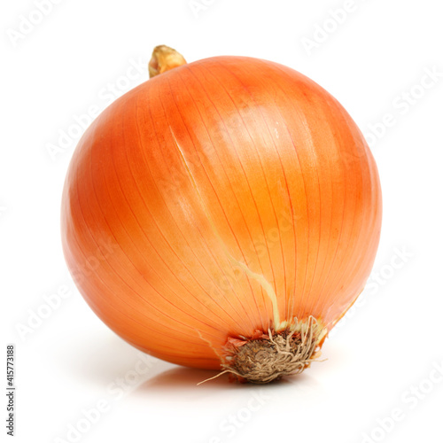 Gold onion vegetable bulbs on white background