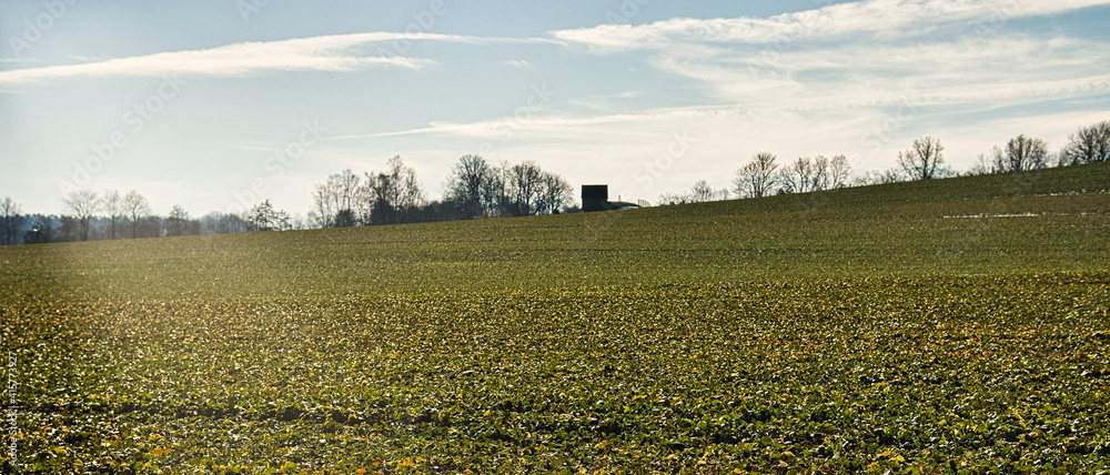 Fototapeta premium Das alte Wasserhäuschen bei Lauchröden (Thüringen).