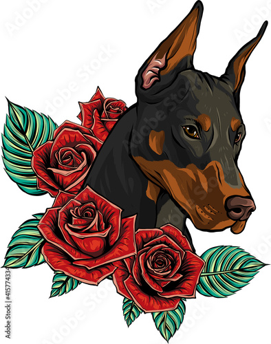vector Dobermann dog face with red roses