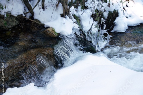 Forest landscape in winter with frozen water