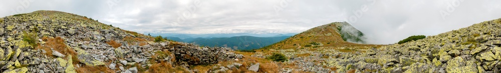 beautiful panorama with alpine pine and mountains under blue sky