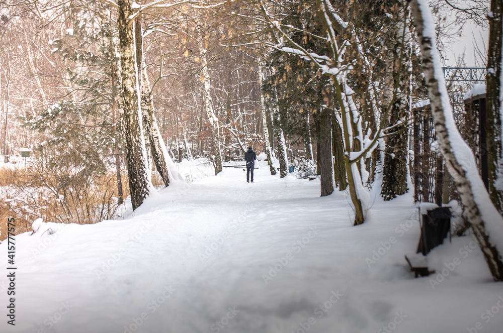 Mężczyzna zimową porą w parku. Spacerowanie w śniegu wśród drzew - obrazy, fototapety, plakaty 