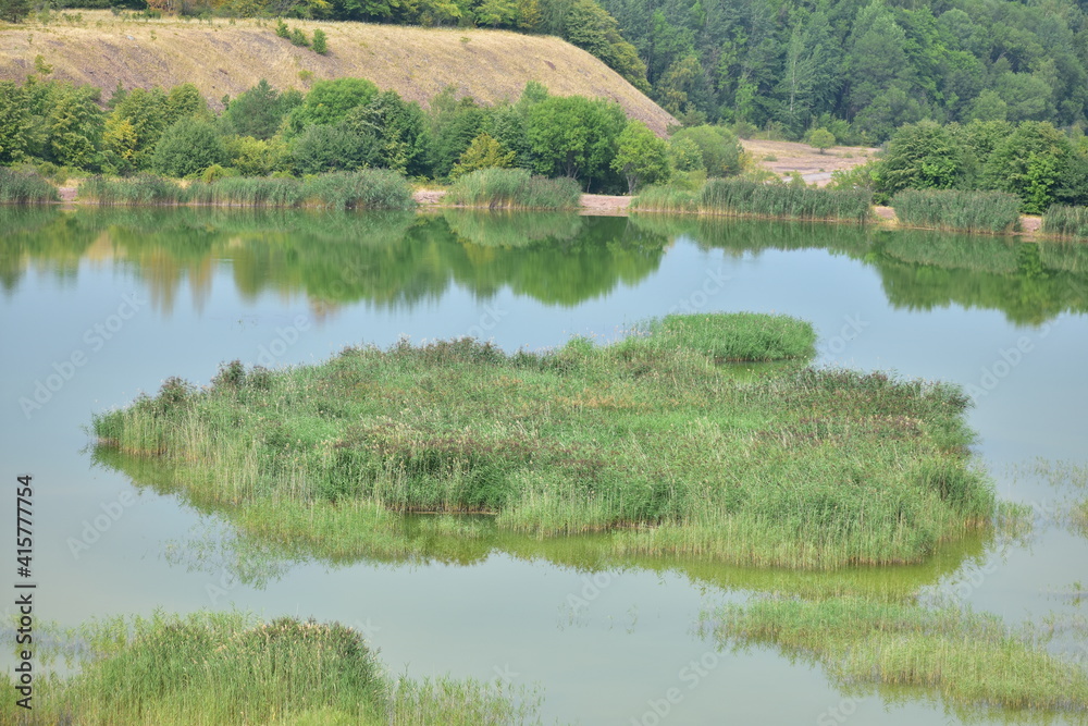 A small island in a small lake A small island in a small lake