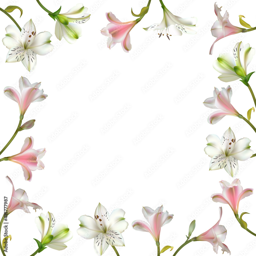 Flowers. White and pink lilies. Floral background. Beautiful vector illustration. Border. Spring.
