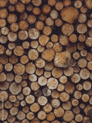 A stack of freshly sawn logs